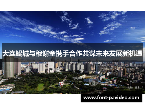 大连鲲城与穆谢奎携手合作共谋未来发展新机遇
