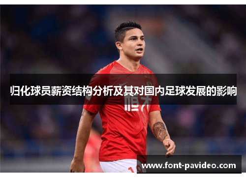 归化球员薪资结构分析及其对国内足球发展的影响