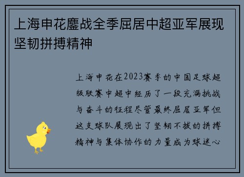 上海申花鏖战全季屈居中超亚军展现坚韧拼搏精神